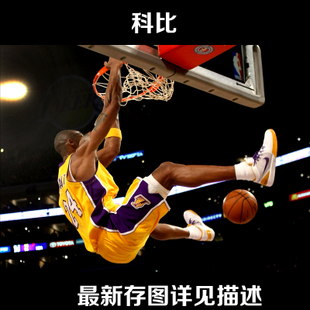 霍尔曼（Holman）论文代写毕业证成绩单学历认证